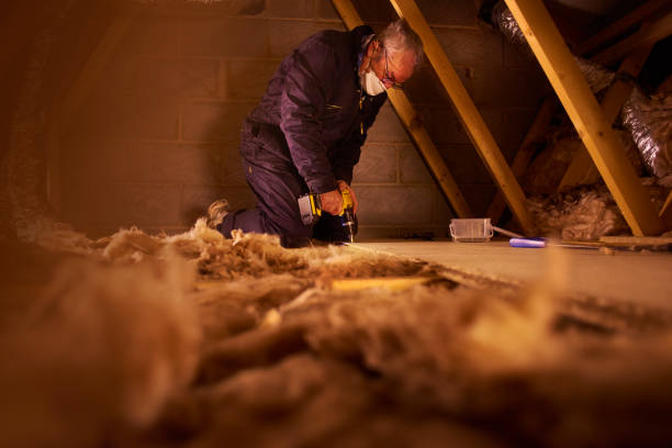 Best Cellulose Insulation in Mount Shasta, CA