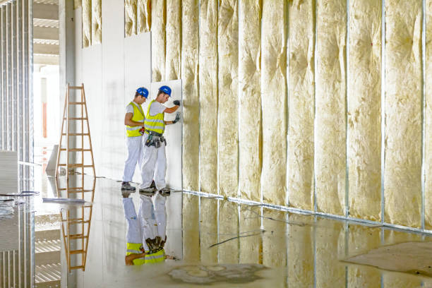 Best Residential Insulation in Mount Shasta, CA